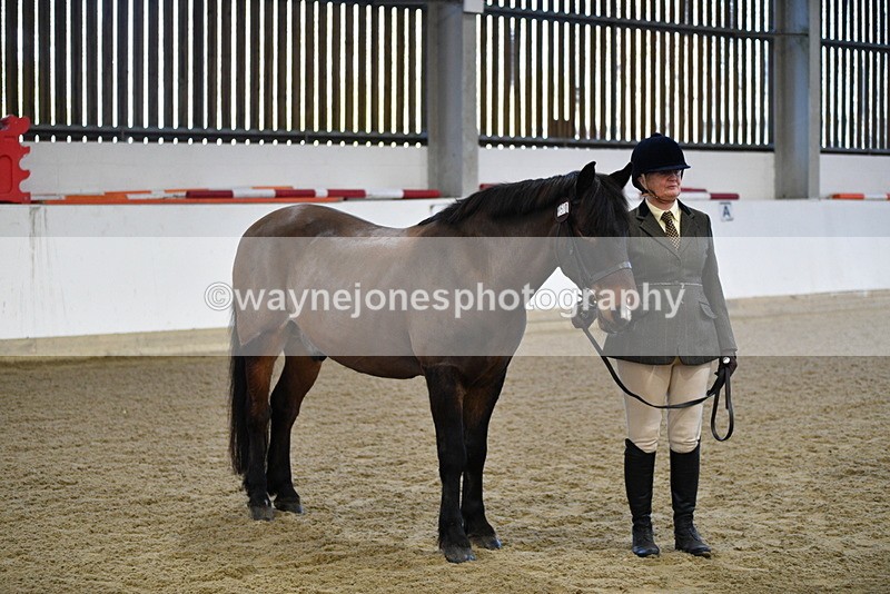 WJ5_3563 - Class 5 In Hand Veterans