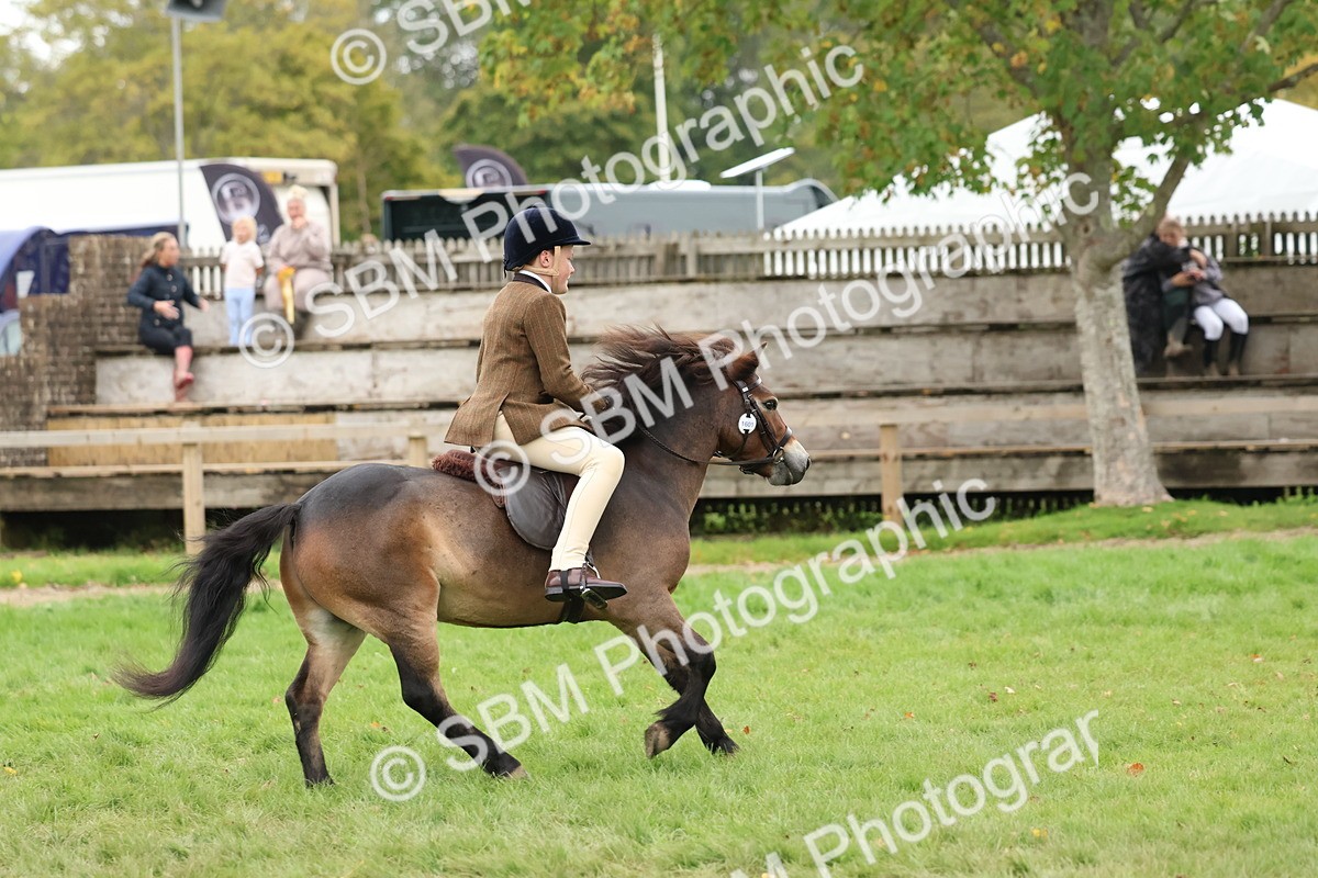 SBM_67476 - S61 - Mountain & Moorland Ridden