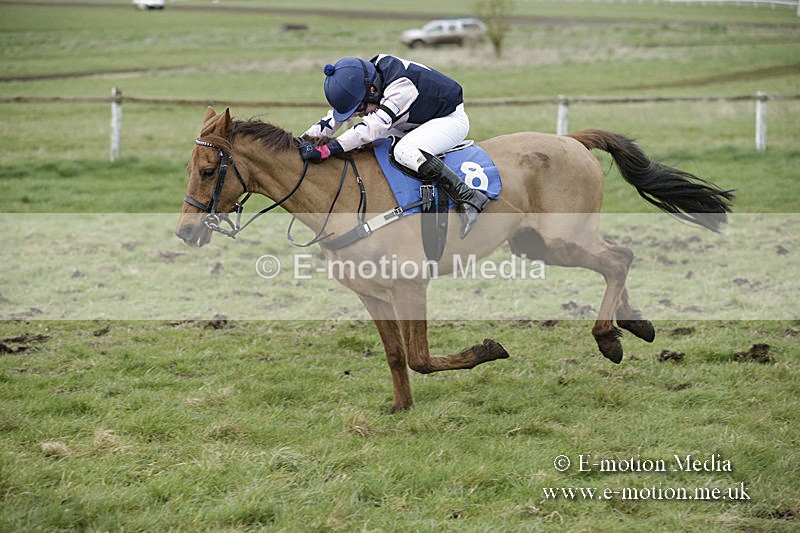 PtP 150320 0789 - New Forest Point-to-Point Larkhill 15/03/20