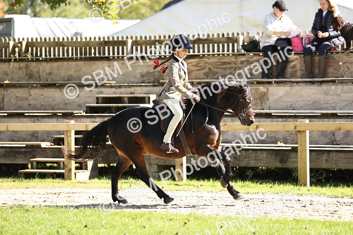 SBM_19337 - S3 - TSR Ridden Pony Showing