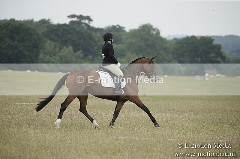 B230619-0325 - Bourne Valley Riding Club Summer Show 23/06/19