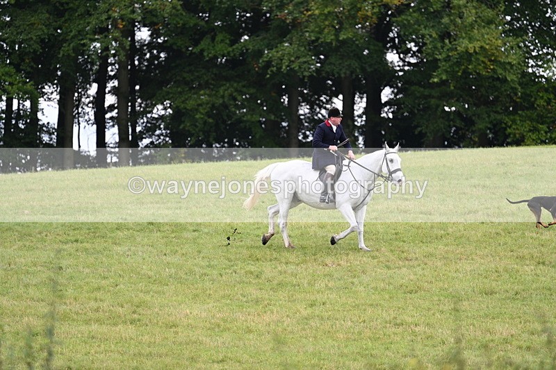 WJ7_4033 - Camera 1 Line 2