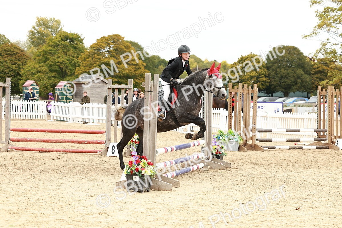 SBM_65260 - Supreme Championship 50cm & 55cm