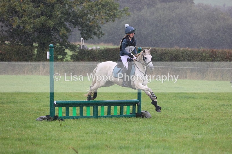 JPP_5040 - Class 1: 65cm : Showjumping