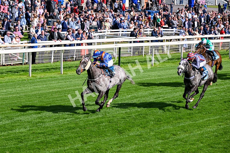 120626-Race 7-Say What You See-8465 - Race 7 17.18pm Event Traffic Control Handicap