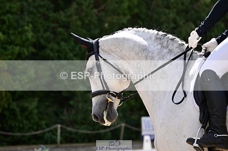260802A-114012-05906 - Novice Silver break- end