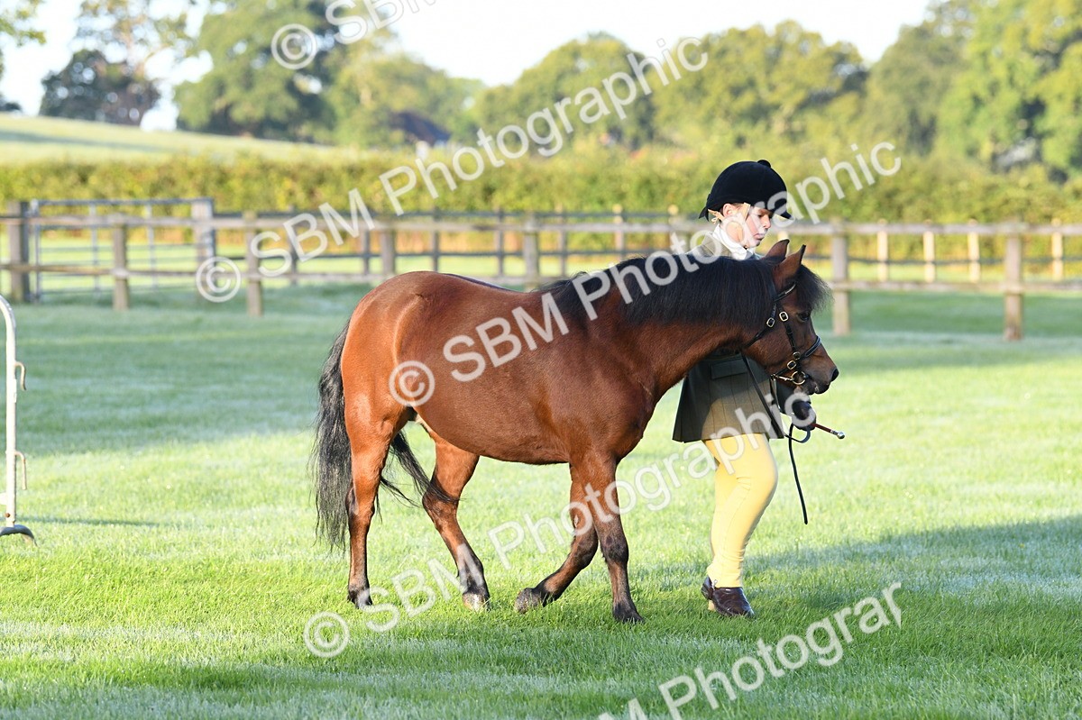 SBM_32457 - S15 - Condition & Turnout In Hand