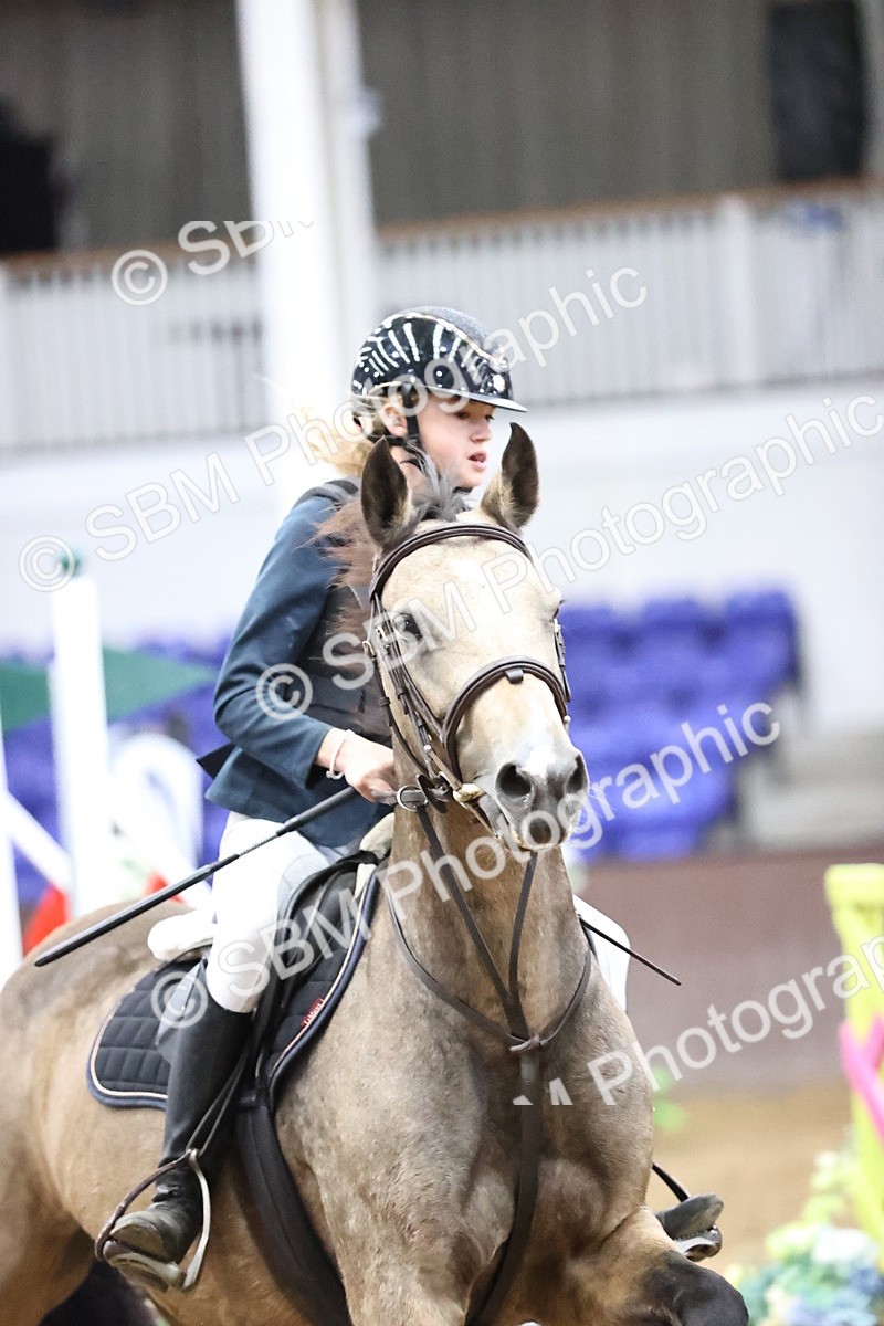 SBM_002325 - Class 11 - Pony Discovery - 90cm Open