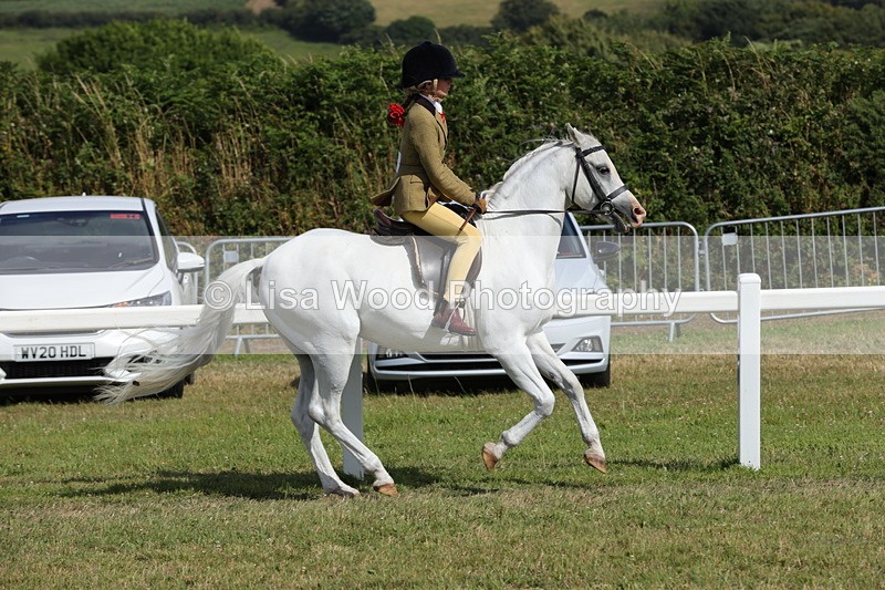 1X9A5693 - Class 40: NPS Welsh A & B