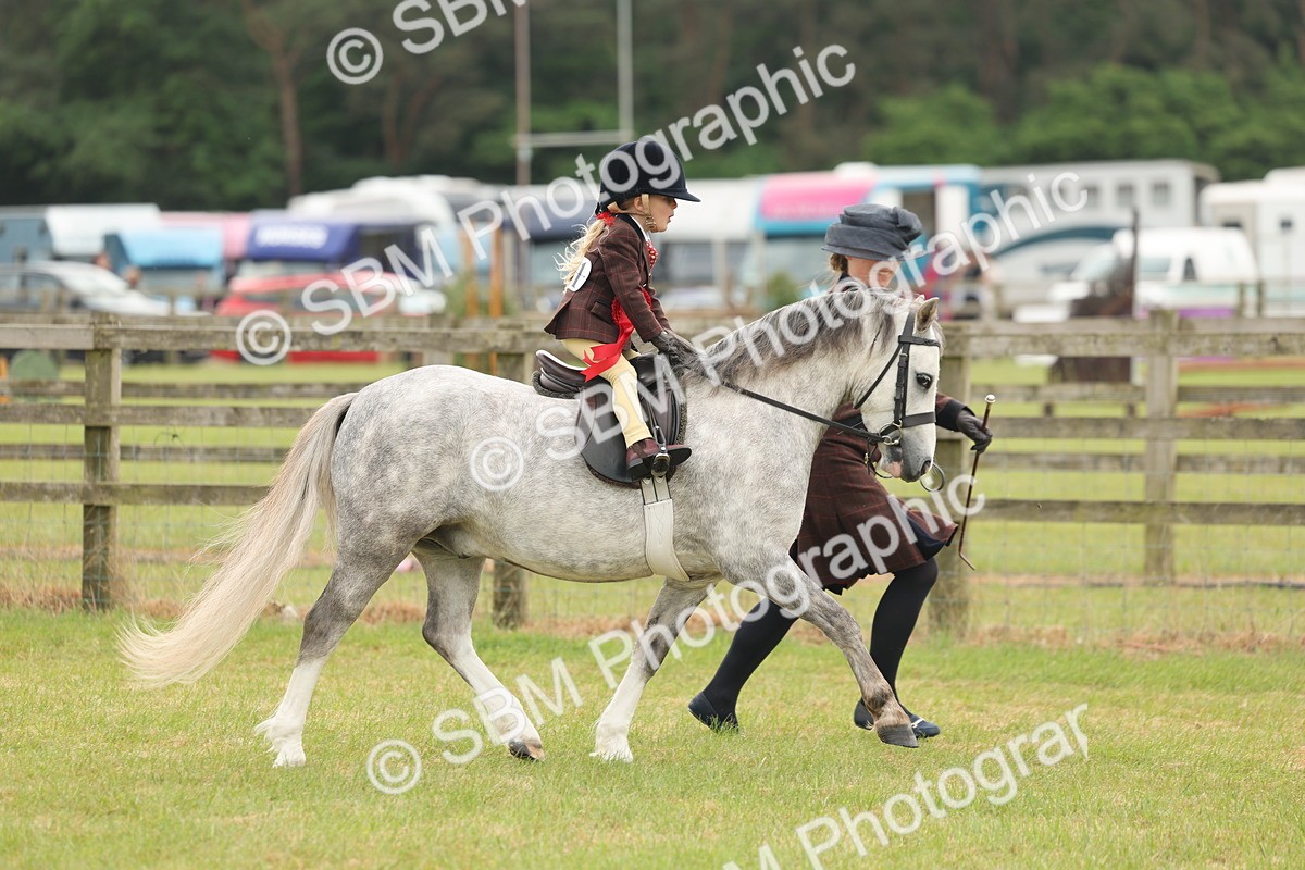 SBM_06935 - Class 74-75 - M&M Lead Rein and First Ridden Pony