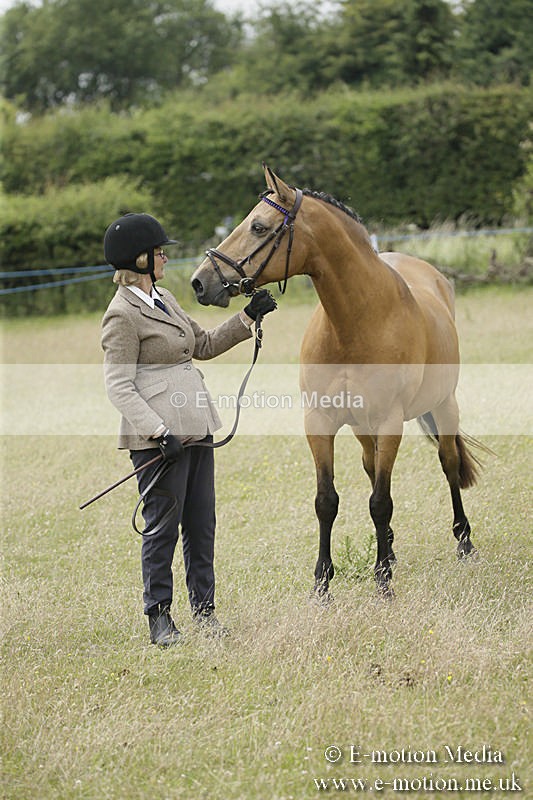B230619-0570 - Bourne Valley Riding Club Summer Show 23/06/19