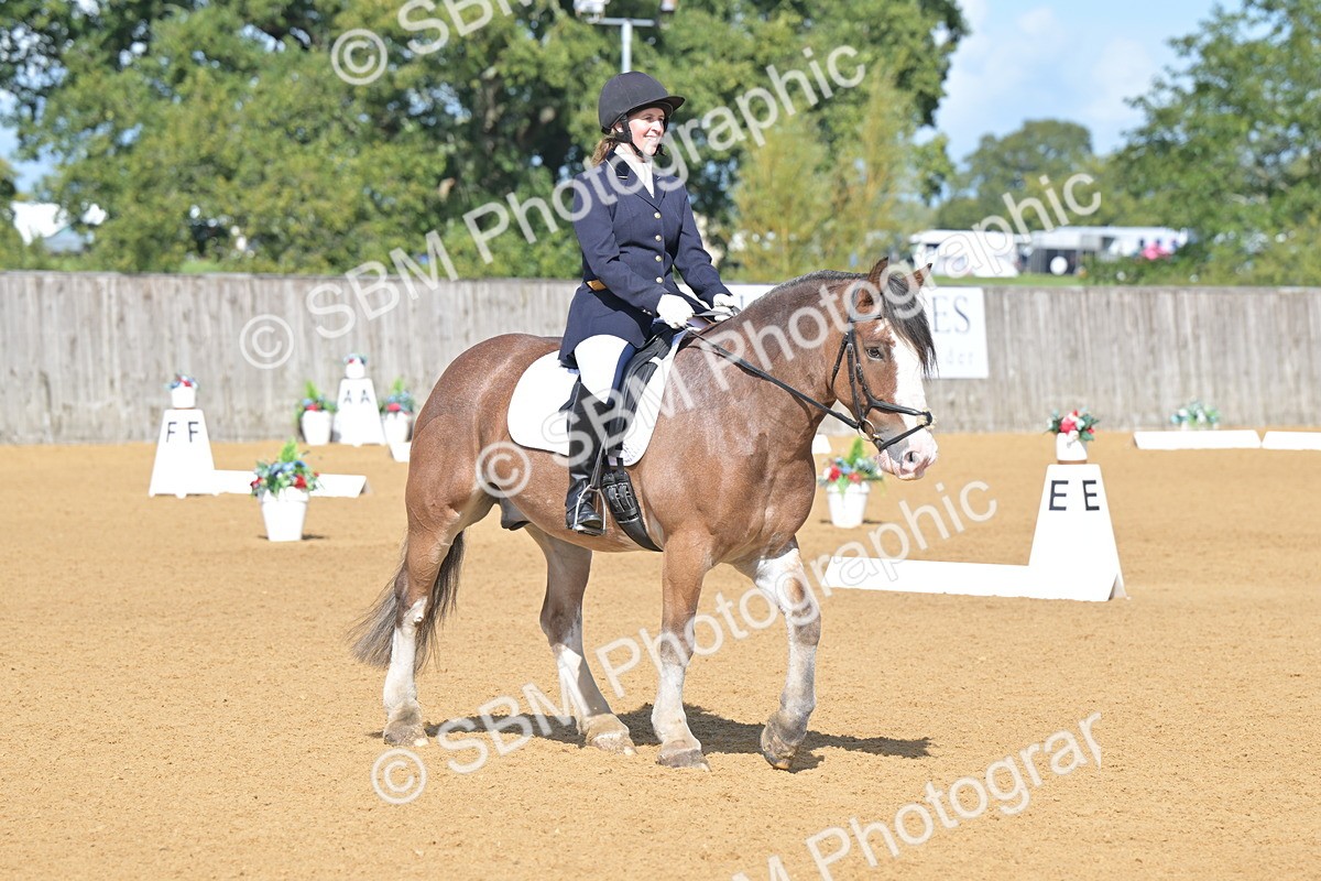 SBM_03913 - D2 - Small Tour Championship Intro 2