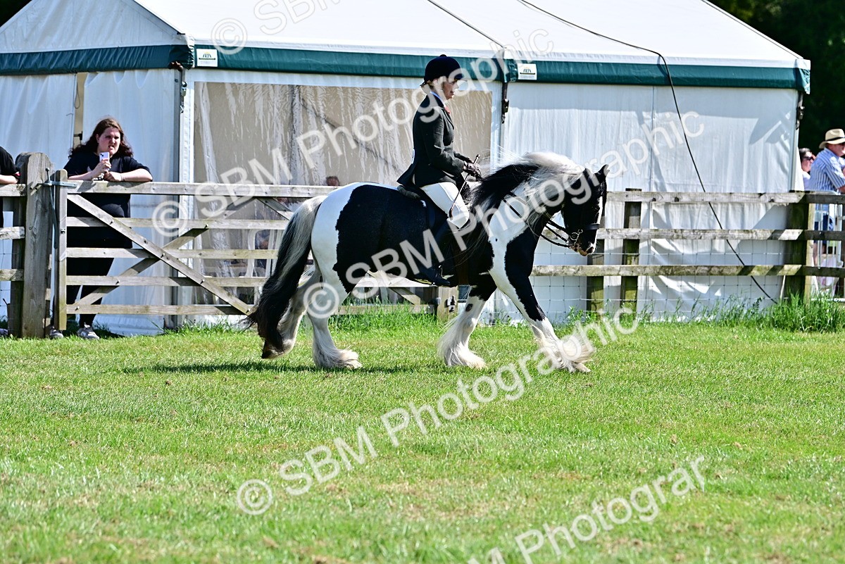 SBM_09314 - Class 63-65 - Traditional Gypsy Cobs In Hand & Ridden
