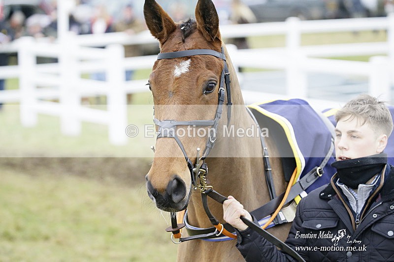 PtP 220122 167 - Royal Artillery Hunt Point-to-Point  - Larkhill Racecourse 22/01/22