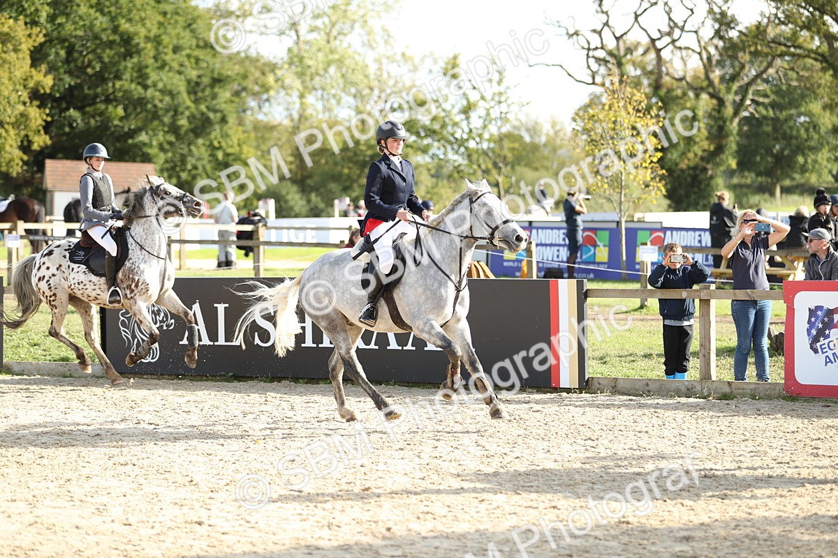 SBM_49688 - J22 - Junior Horse 65cm Championship