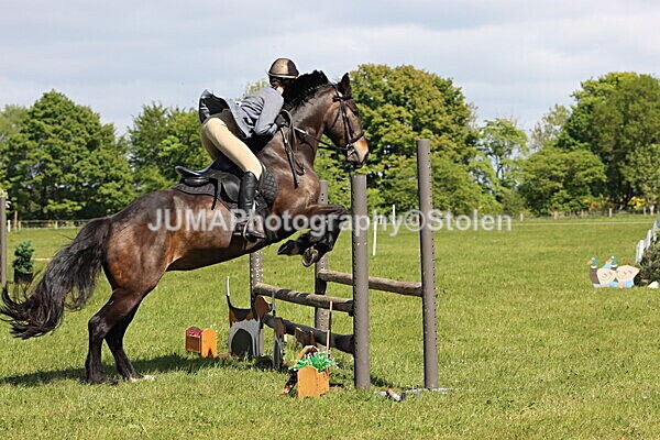 IMG_4527 - Working Hunter