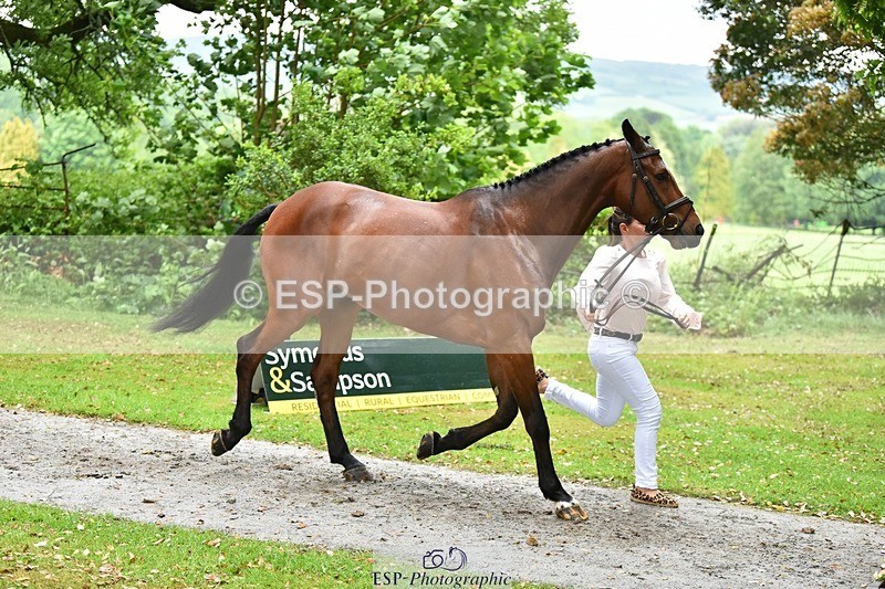 240522-163046-00969 - 203-OAKPORT_WEST_COAST_EXPRESS-Emma_Wilkes