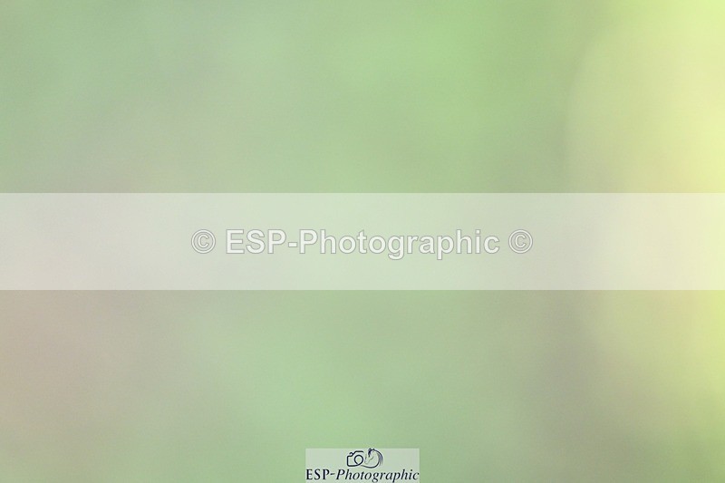 261014-115330-00307 - Cls 04 Senior 1.05m