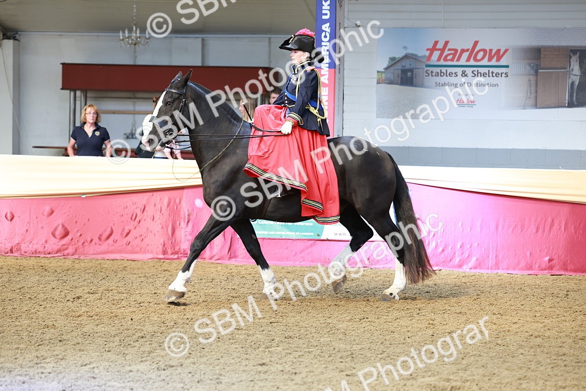 SBM_13610 - Class 105 - Ridden Costume - Side Saddle