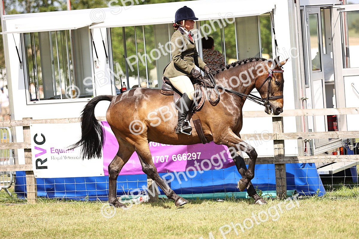 SBM_18002 - Class 81-83 - TSR Ridden Amateur of the Year - Horses