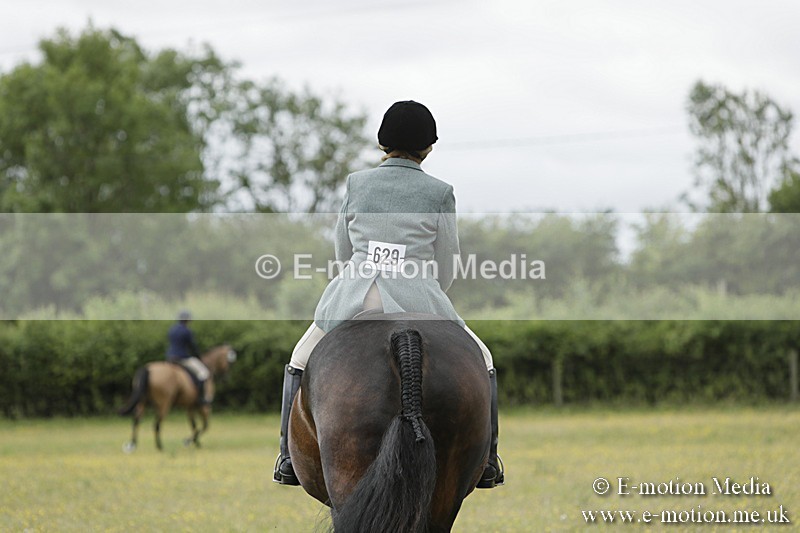 BVR160717-1392 - Class 3 Dressage 16/07/17