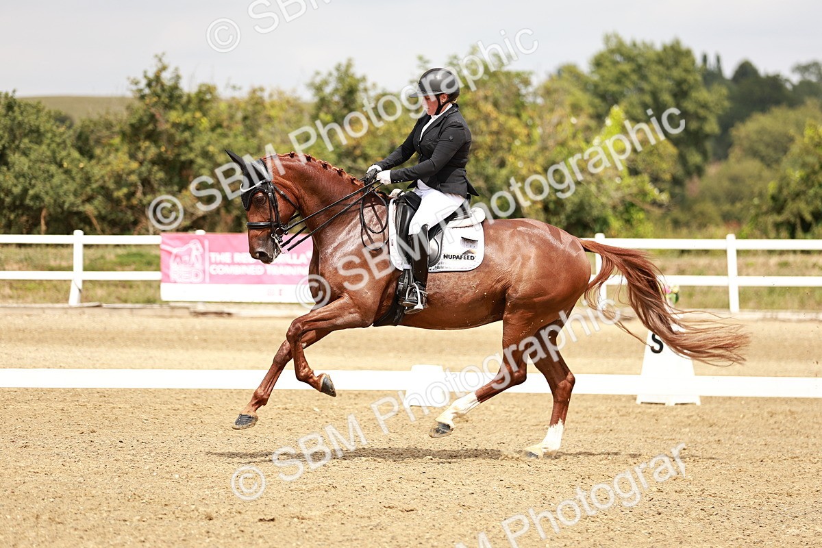 SBM_003591