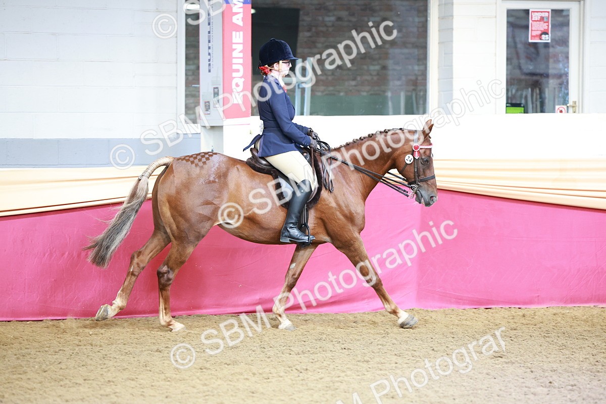 SBM_11929 - Class 102 - Equitation (Best Rider) Adult