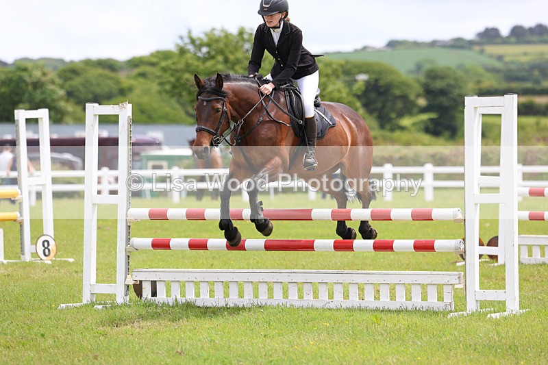 3E7A7255 - Class 13: Senior British Novice/90cm open