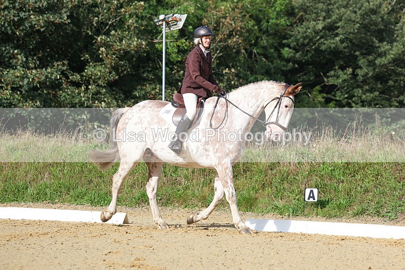 3E7A2378 - Class 1: Intro 4 2024 section A