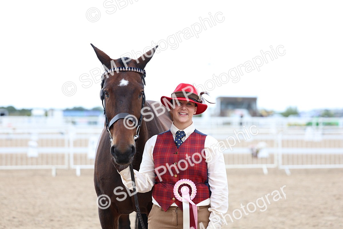 SBM_05146 - Class 27 - IH Competition Horse or Pony