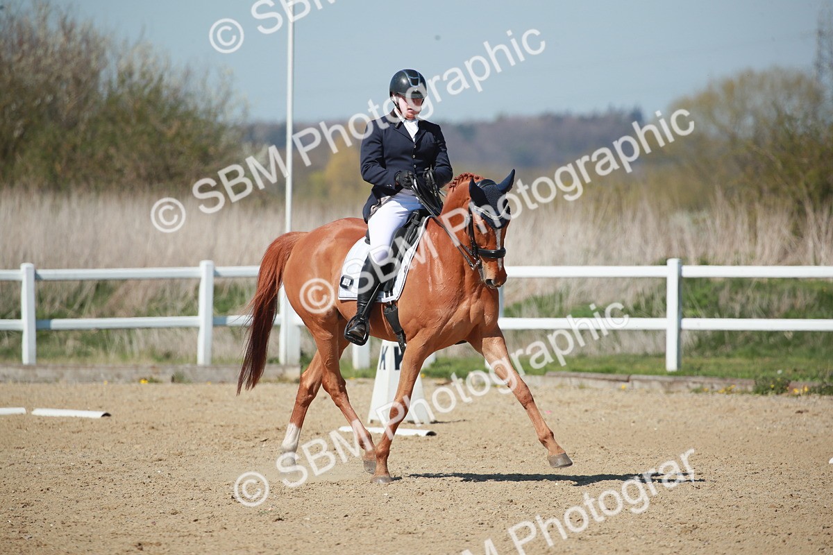 SJ3_1141 - Class 8 - E5