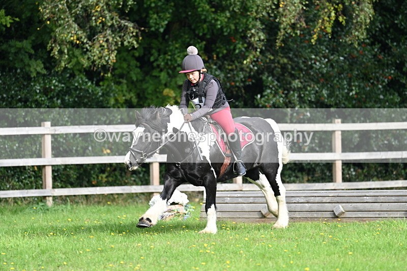 WJ7_3739 - 40cm Time 10:26 to 10:42