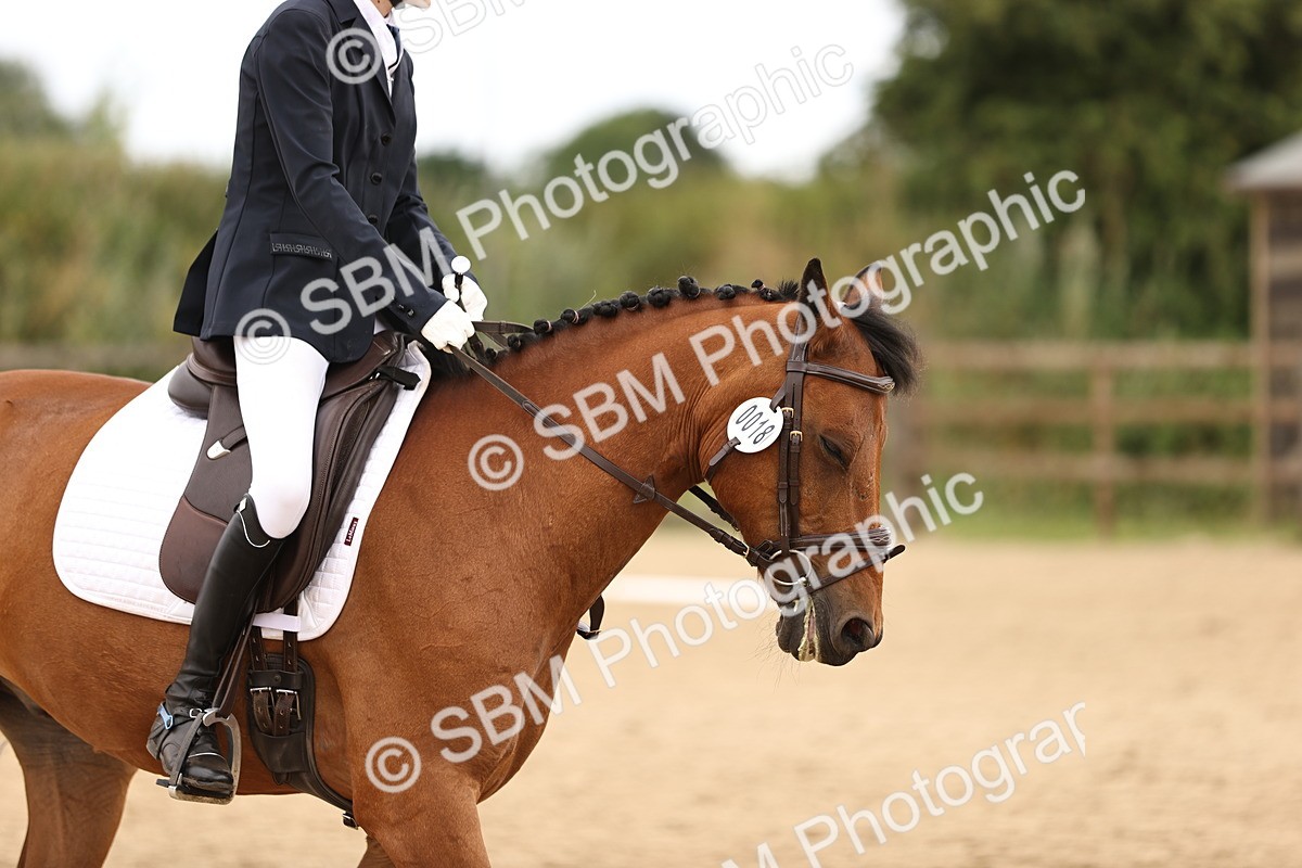 SBM_000898 - Class 7 - Novice 37