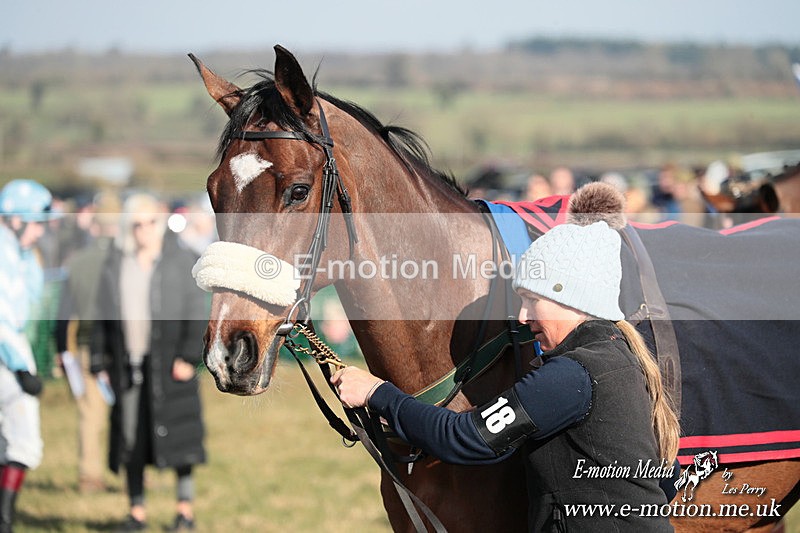 PtP 010325 262 - Beaufort Races Didmarton 01/03/25