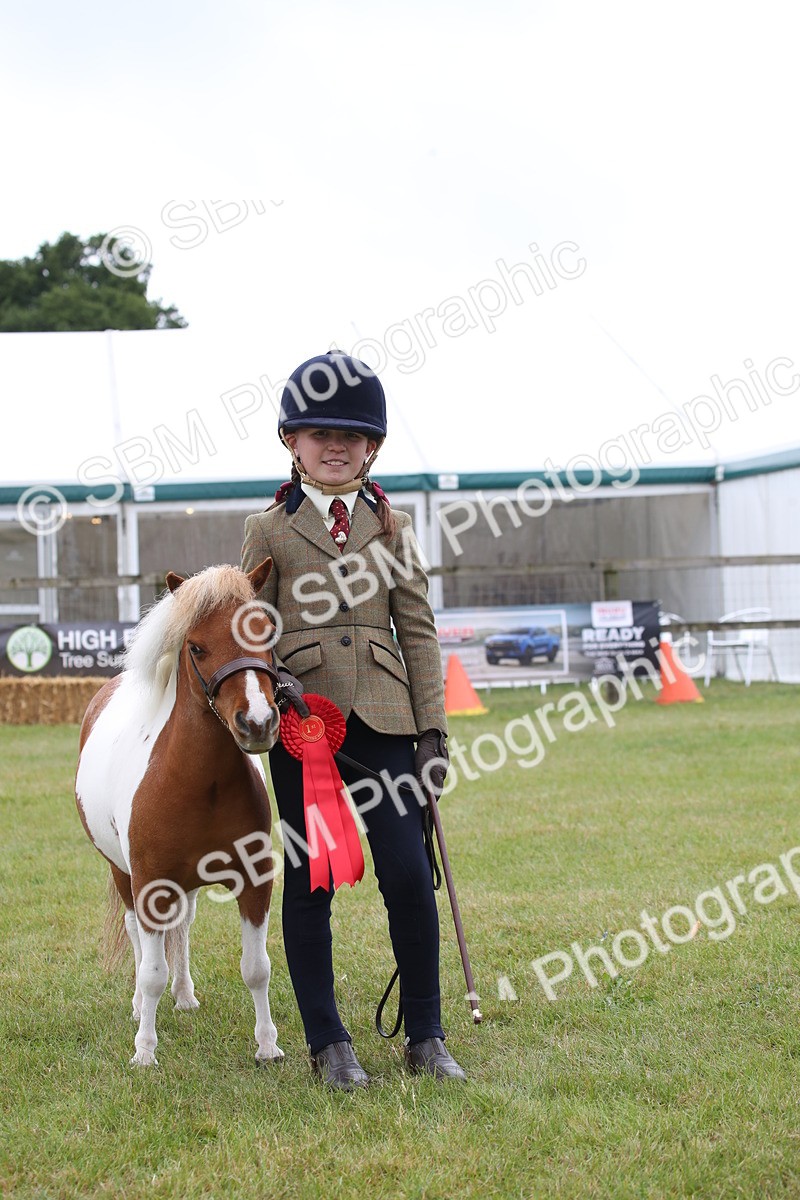 SBM_04012 - Class 23-25 - British Miniature Horse of the Year