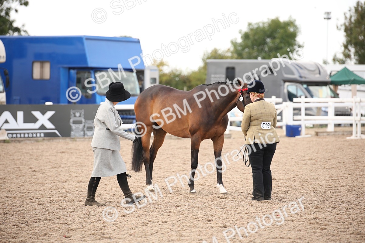 SBM_08239 - Class 27 - IH Competition Horse-Pony
