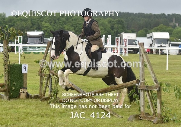 JAC_4124 - 40CM WORKING HUNTER