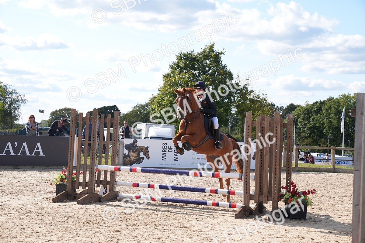 SBM_26009 - J61 - Clear Round 75cm & 85cm