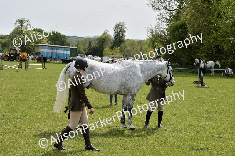 20260426-3692 - Class 22 - Working Hunter