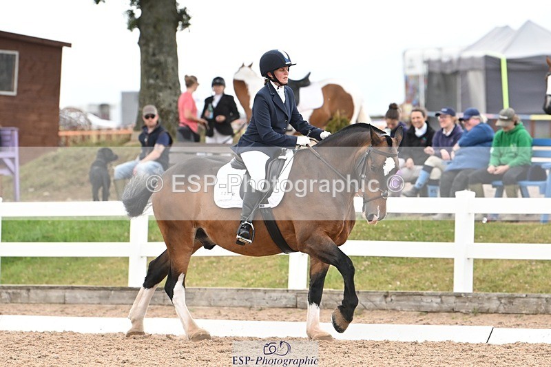 250705-175533-03122 - N3 Section BDNOV3 15.55 to 17.19