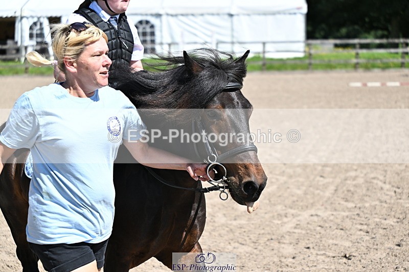 240729B-113231-02424 - Showjumping Competition