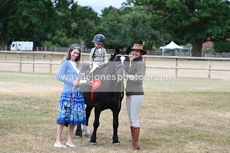 WJ7_9904 - Class 1 Lead Rein Pony