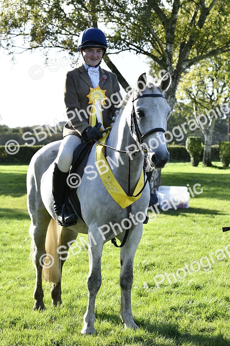 SBM_52266 - S35 - Working Hunter & Working Show Horse