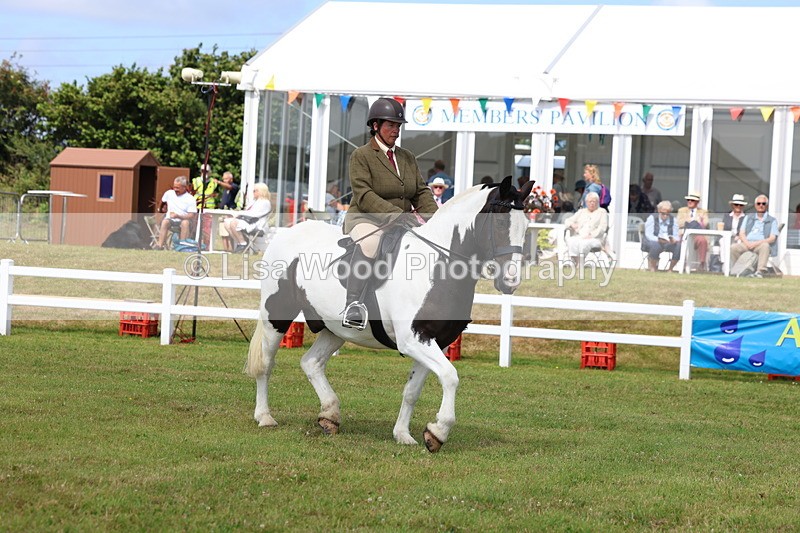 3E7A9925 - Class 5: Rising Star Lightweight/Heavyweight Cobs