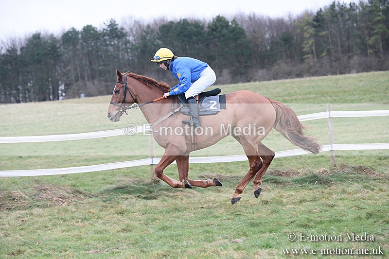 PtP 230119 290 - Royal Artillery Point-to-Point  - Larkhill  - 26/01/19