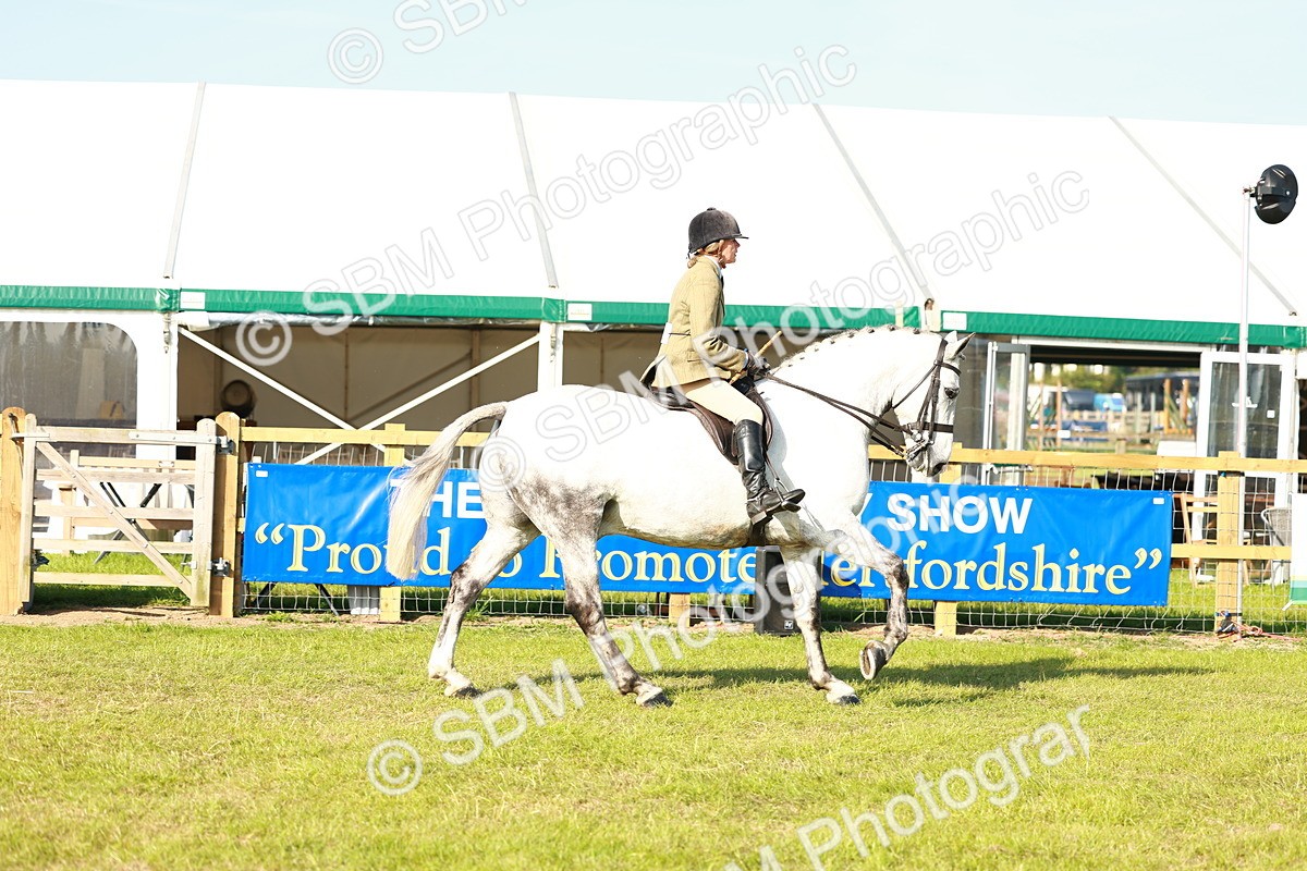 SBM_10732 - Class 66-69 - RIHS Ridden Hunters Inc Small Hunter