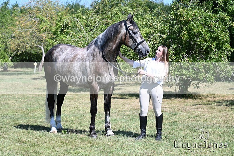 WJ7_2929 - Annable & Atlas 13-07-25