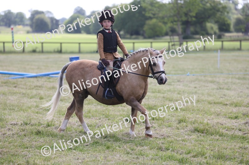 20260614-0466 - Class 20 - Beginners Working Hunter Pony