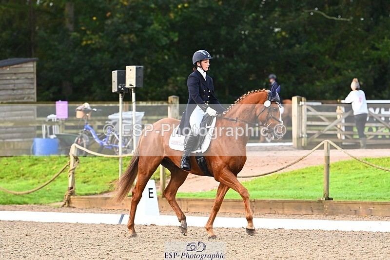 231021-090243-12749 - 322-BALLYBOLGER.LIONMAN-Sarah.Perry-DR