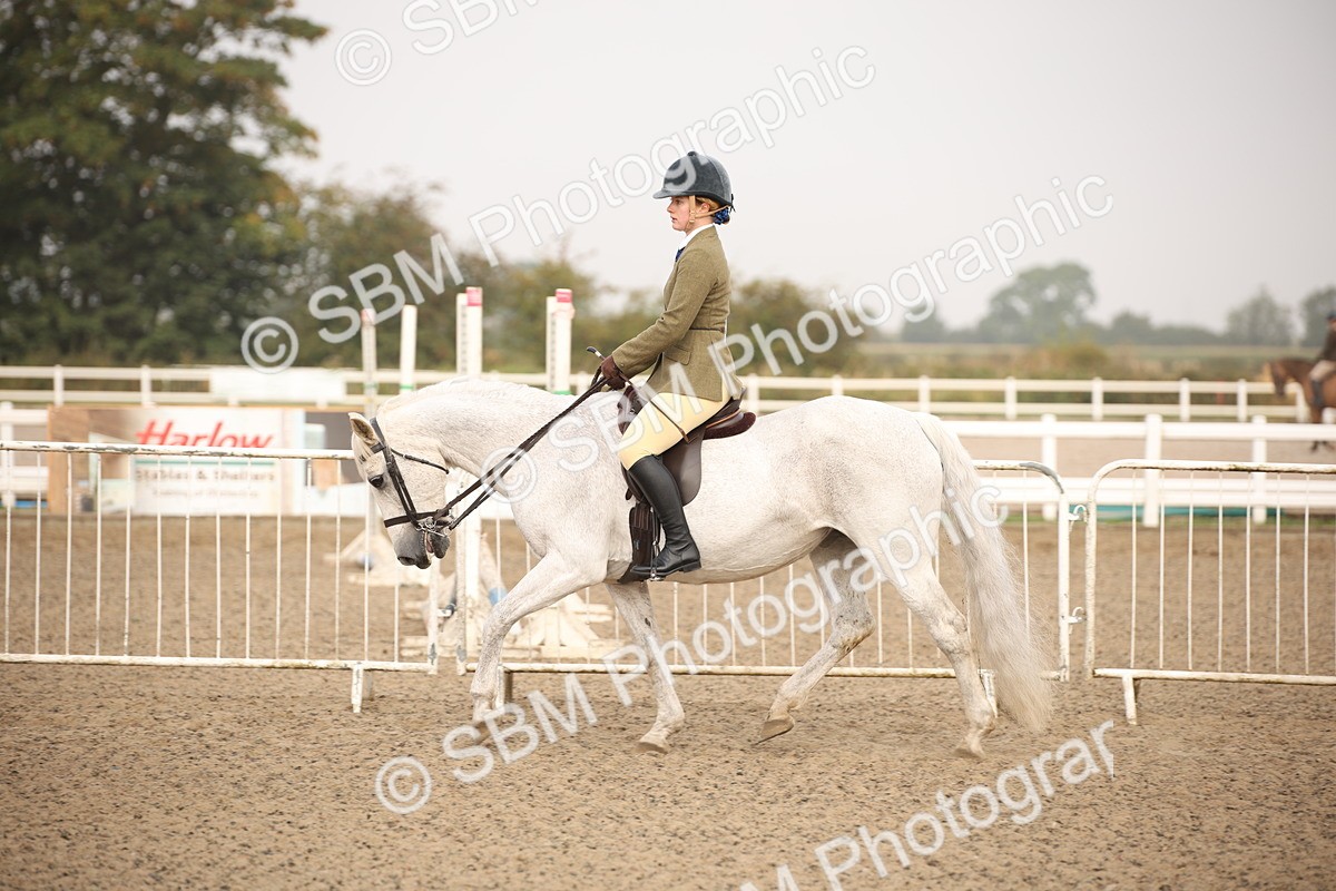 SBM_09712 - Class 401 Riding Club Pony